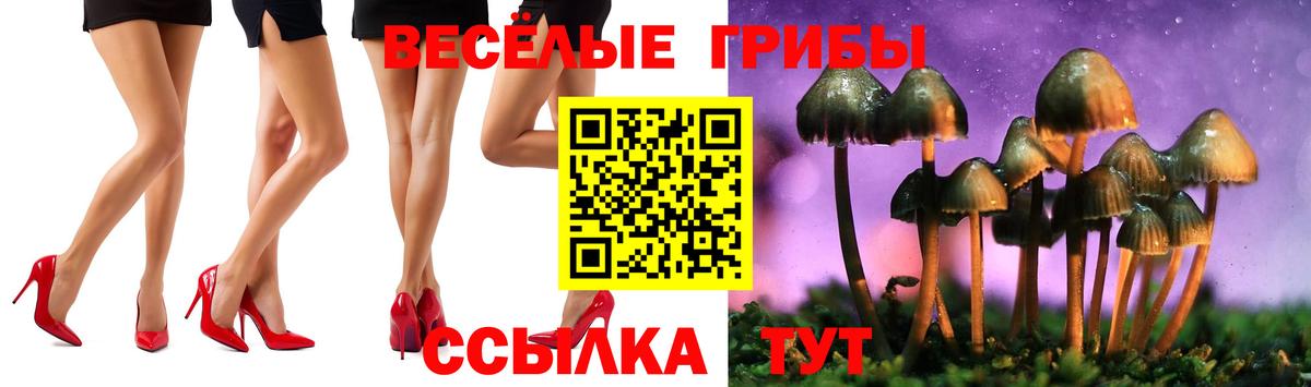 Галлюциногенные грибы ЛСД Вышний Волочёк